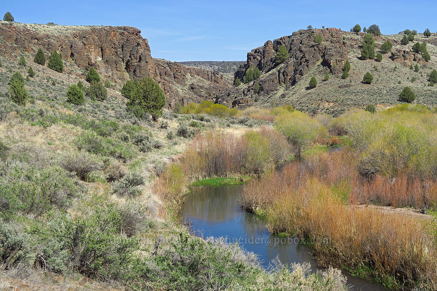 Owyhee River [Three Forks, Malheur County, Oregon]