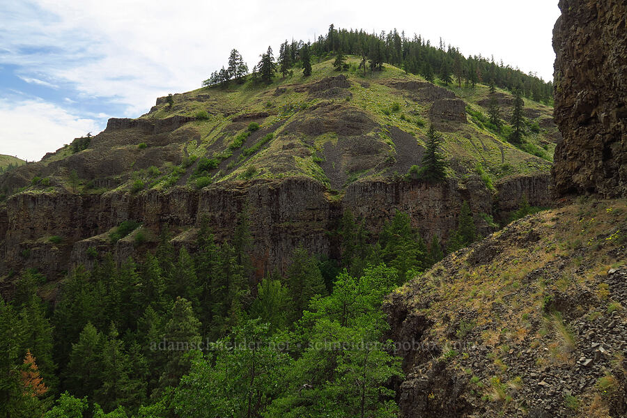 Bear Canyon [Bear Canyon, Okanogan-Wenatchee National Forest, Yakima County, Washington]