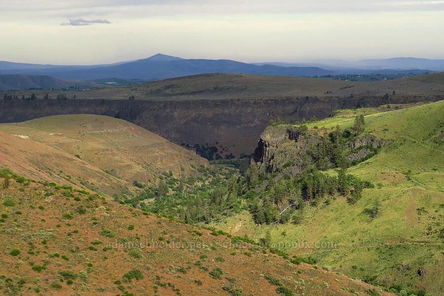 view to the east [Clint Canyon, Oak Creek Wildlife Area, Yakima County, Washington]