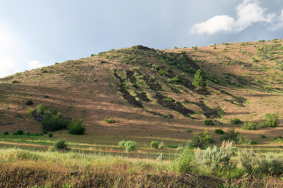 rock runnels [Oak Creek Road, Oak Creek Wildlife Area, Yakima County, Washington]