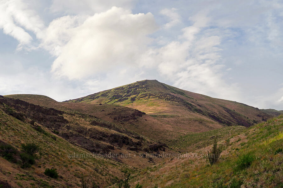 ridge northwest of Waterworks Canyon [Waterworks Canyon, Oak Creek Wildlife Area, Yakima County, Washington]