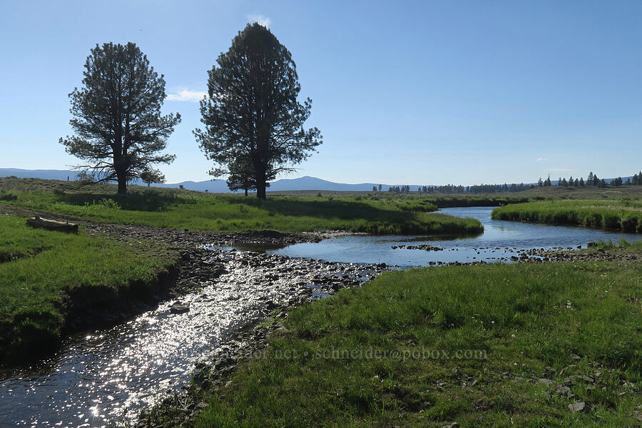 North Fork Crooked River [North Fork Crooked River, Ochoco National Forest, Crook County, Oregon]
