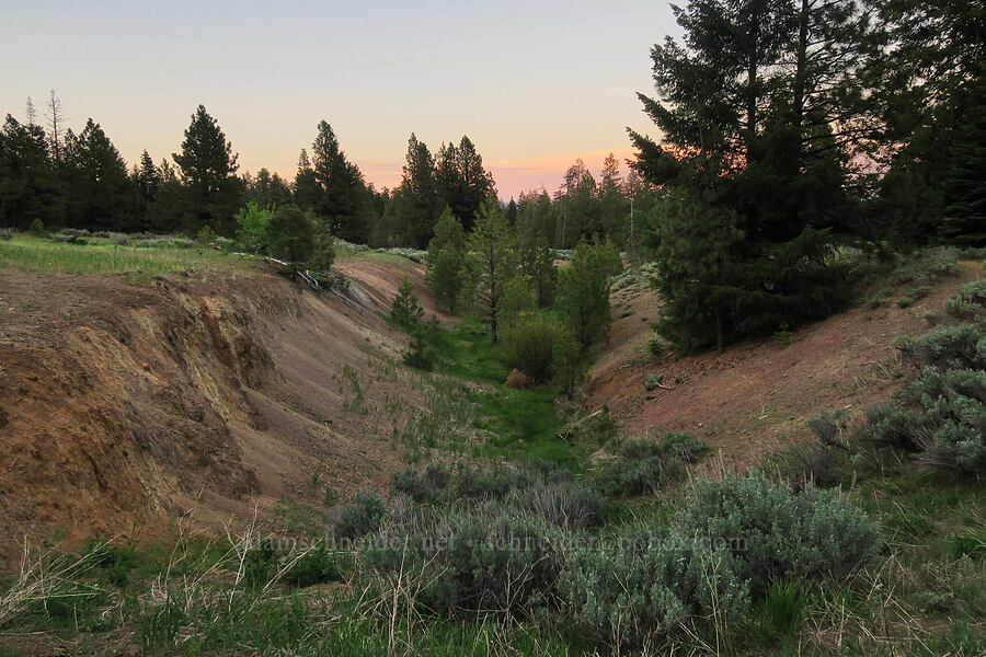 old pit mine [Forest Road 4200-200, Ochoco National Forest, Crook County, Oregon]