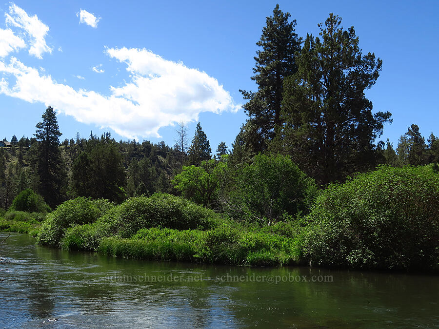 Deschutes River [Tumalo State Park, Deschutes County, Oregon]