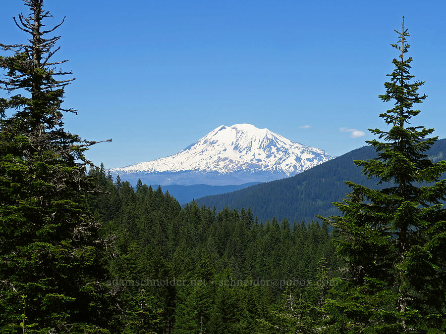 Mount Adams [Grassy Knoll Trail, Gifford Pinchot National Forest, Skamania County, Washington]
