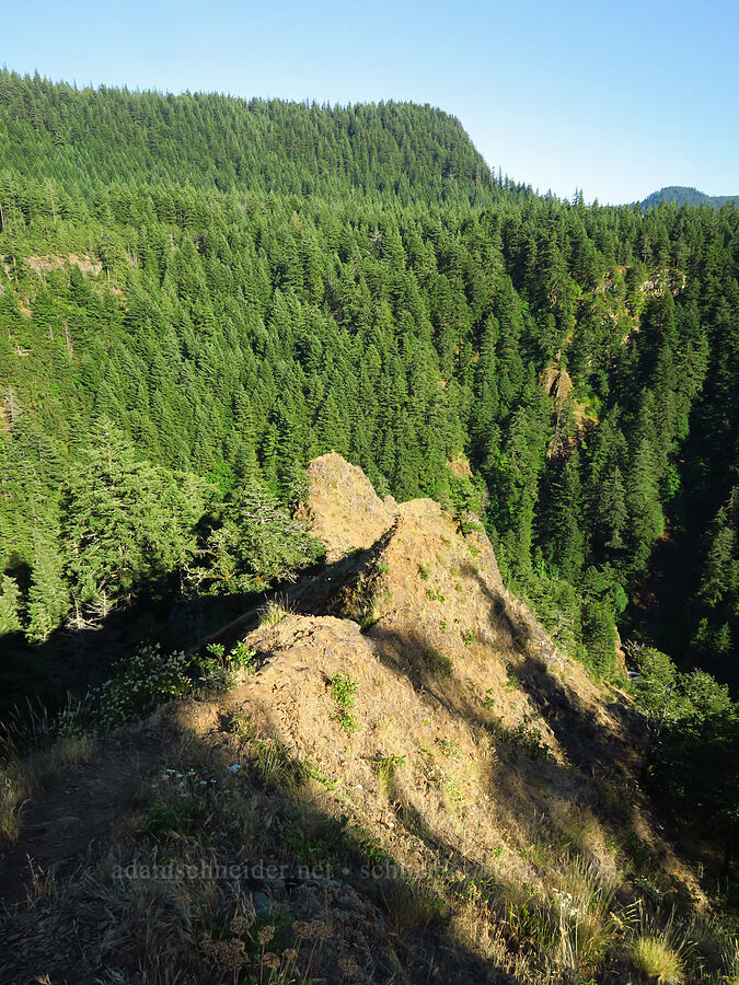 Little While Salmon River's valley [Spirit Falls Trail, Skamania County, Washington]