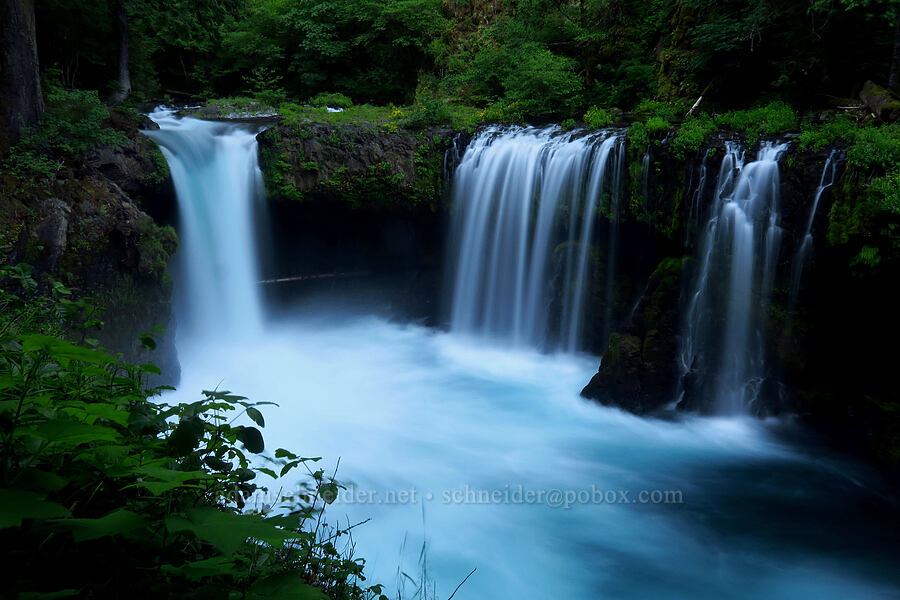 Spirit Falls [Spirit Falls Trail, Skamania County, Washington]