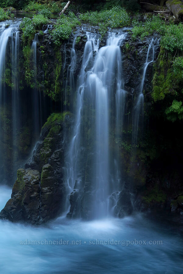 Spirit Falls [Spirit Falls Trail, Skamania County, Washington]