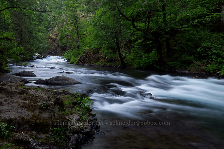 Little White Salmon River [Spirit Falls Trail, Skamania County, Washington]