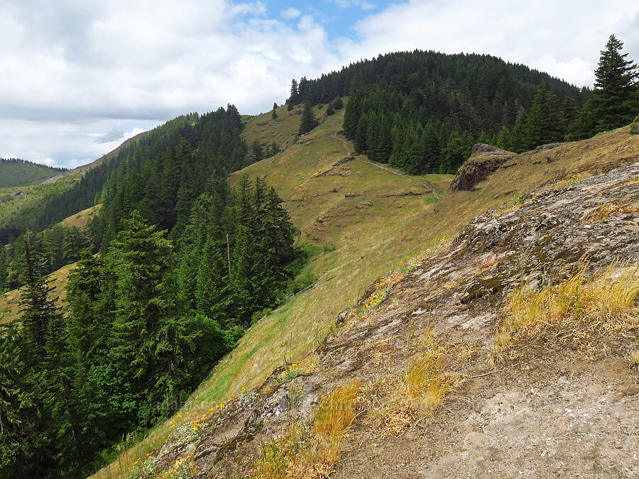Horse Rock Ridge [Horse Rock Ridge, Linn County, Oregon]