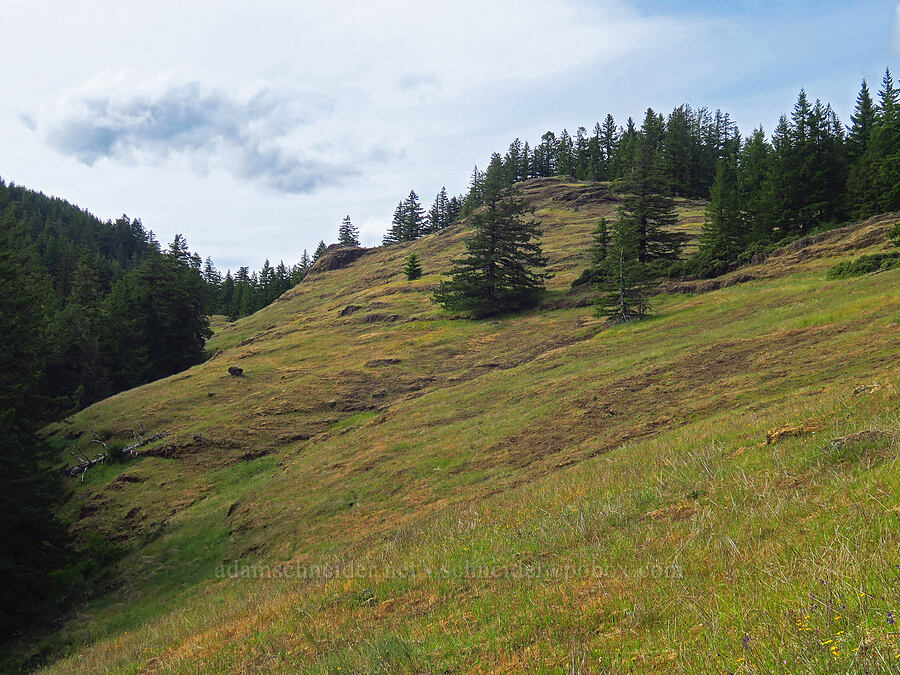Horse Rock Ridge [Horse Rock Ridge, Linn County, Oregon]