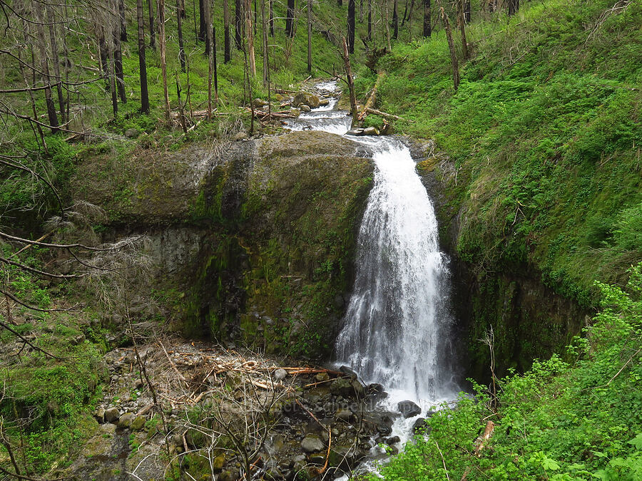 Upper McCord Creek Falls [Upper McCord Creek Falls Trail, Mt. Hood National Forest, Multnomah County, Oregon]