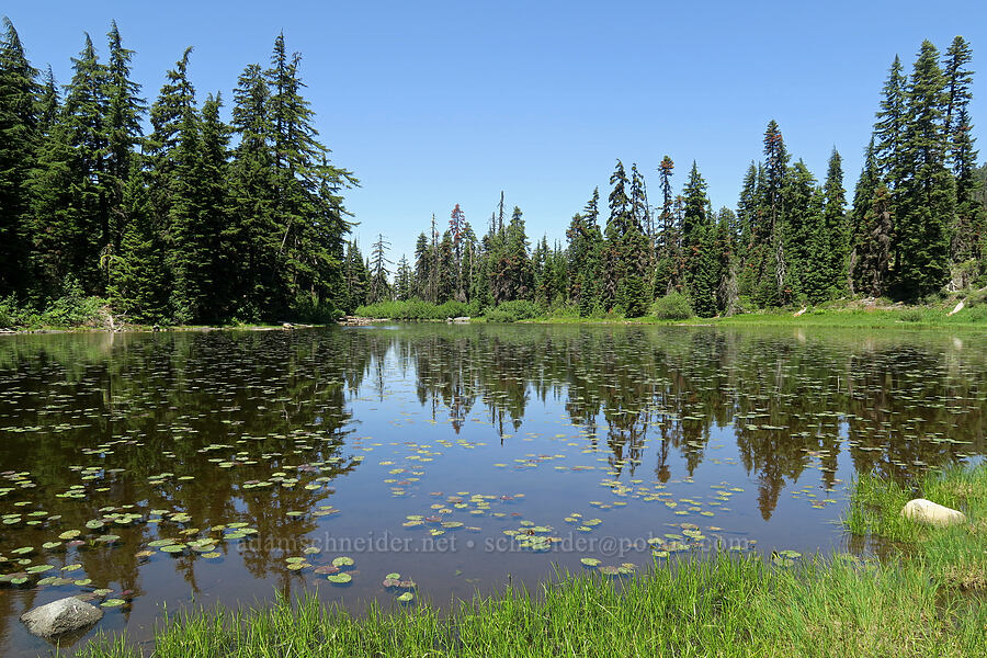 Upper Bigelow Lake [Bigelow Lakes, Oregon Caves National Preserve, Josephine County, Oregon]