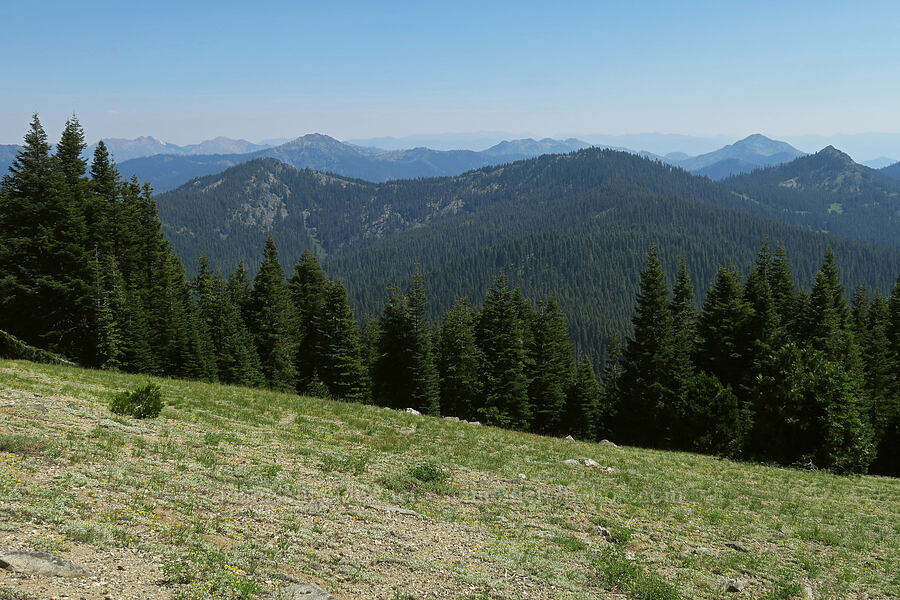 view to the south-southeast [Lake Mountain, Oregon Caves National Preserve, Josephine County, Oregon]