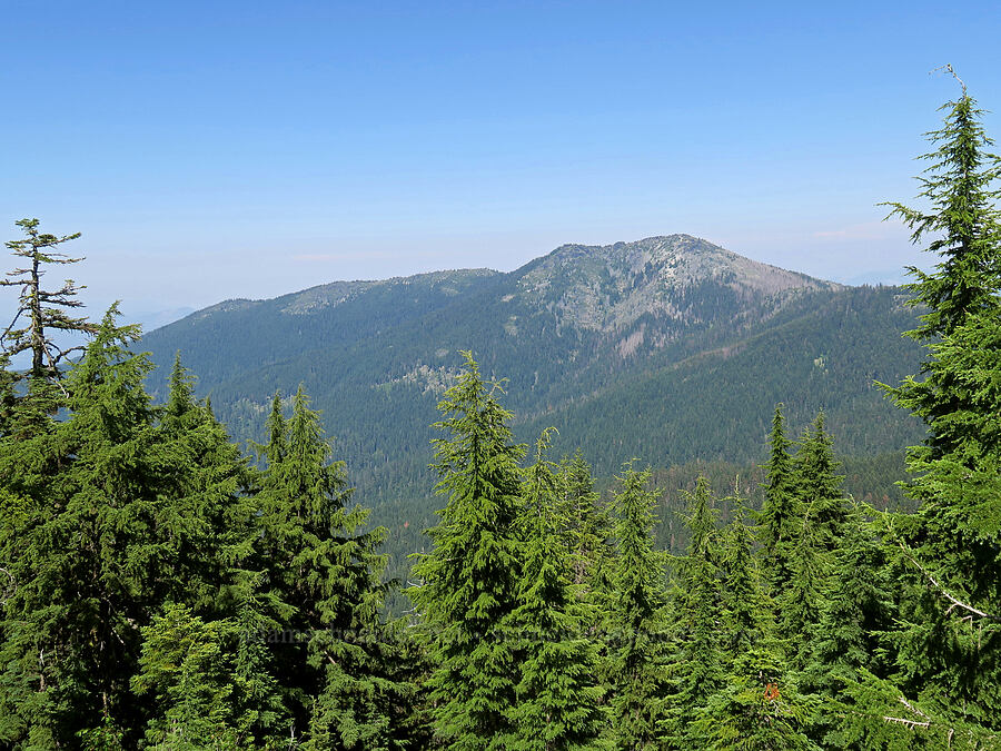 Grayback Mountain [Lake Mountain, Oregon Caves National Preserve, Josephine County, Oregon]