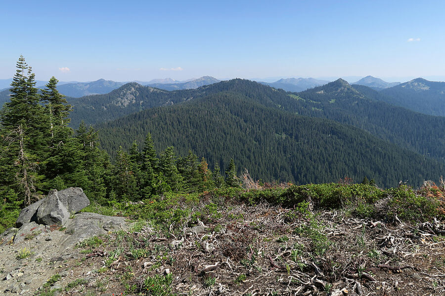 view to the southeast [Mt. Elijah, Oregon Caves National Preserve, Josephine County, Oregon]
