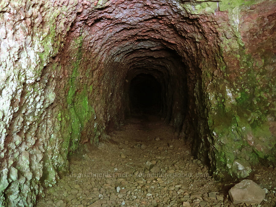 Kinzel Mine [Little Badger Trail, Badger Creek Wilderness, Wasco County, Oregon]