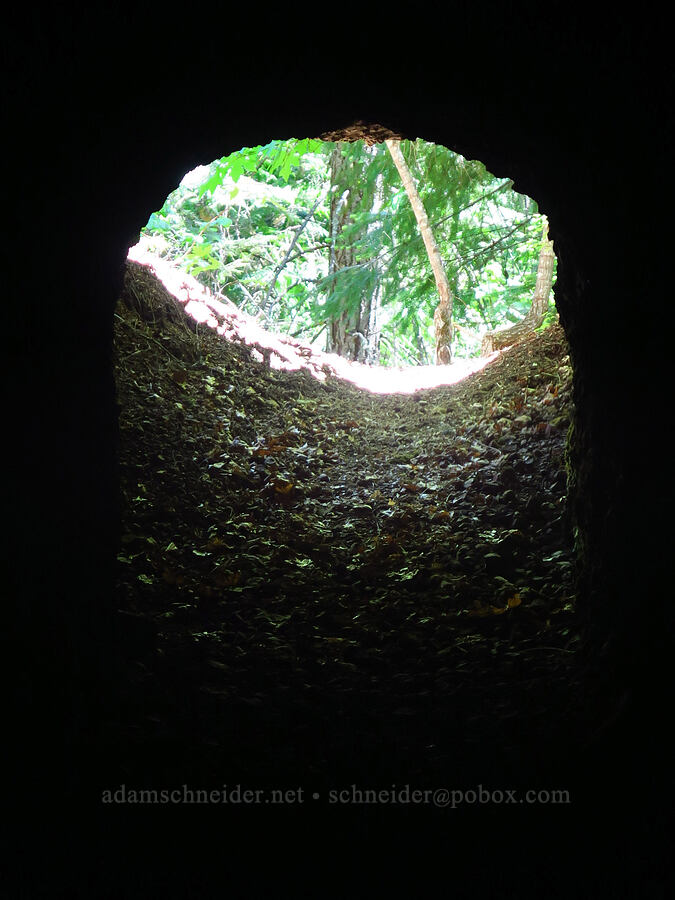 entrance to Kinzel Mine [Little Badger Trail, Badger Creek Wilderness, Wasco County, Oregon]