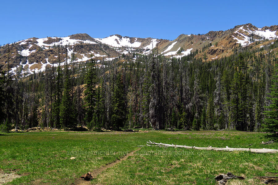 Earl Peak [Stafford Creek Trail, Okanogan-Wenatchee National Forest, Kittitas County, Washington]