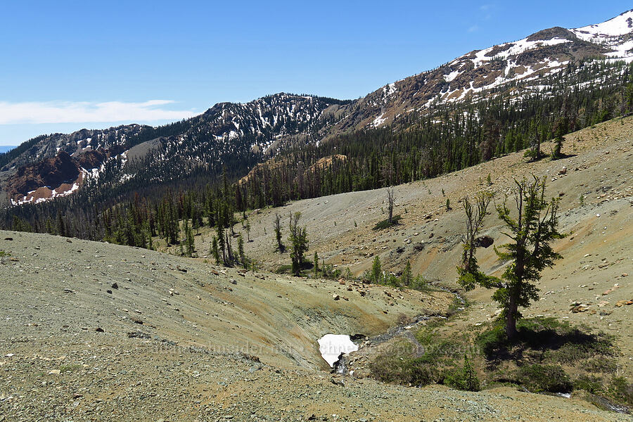 ridge south of Earl Peak [Stafford Creek Trail, Okanogan-Wenatchee National Forest, Kittitas County, Washington]