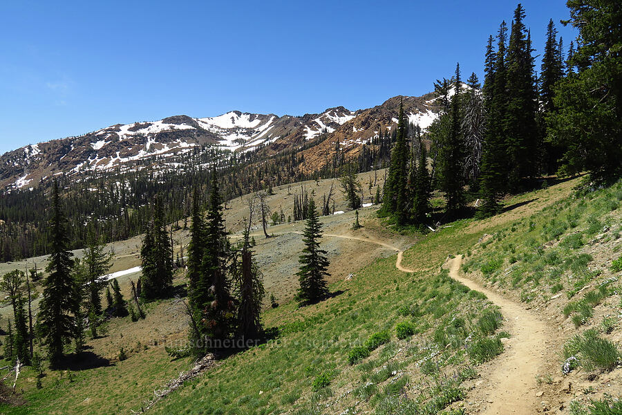Earl Peak & the trail [Navaho Pass, Okanogan-Wenatchee National Forest, Kittitas County, Washington]