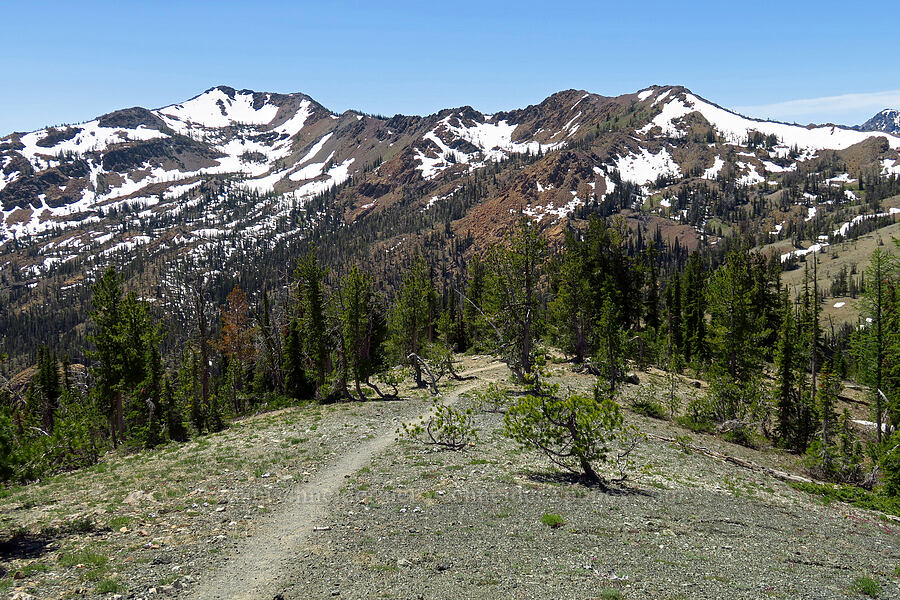 Earl Peak and its northeast ridge [Navaho Peak Trail, Okanogan-Wenatchee National Forest, Chelan County, Washington]