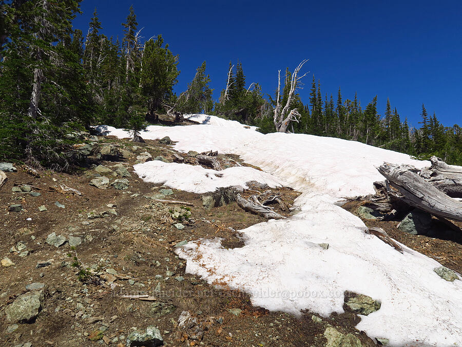 snow on the trail [Navaho Peak Trail, Okanogan-Wenatchee National Forest, Chelan County, Washington]