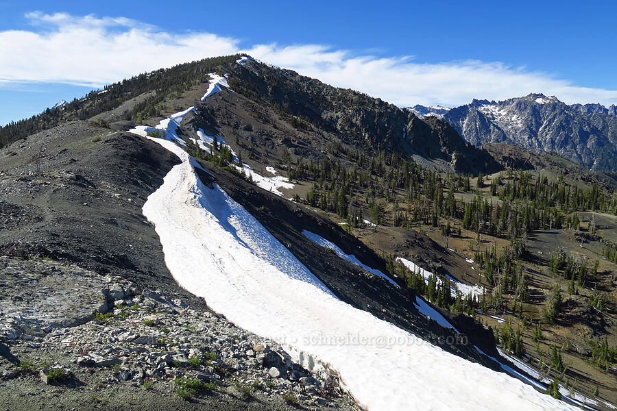 southeast ridge of Navaho Peak [between Navaho Peak & Freedom Peak, Okanogan-Wenatchee National Forest, Kittitas County, Washington]