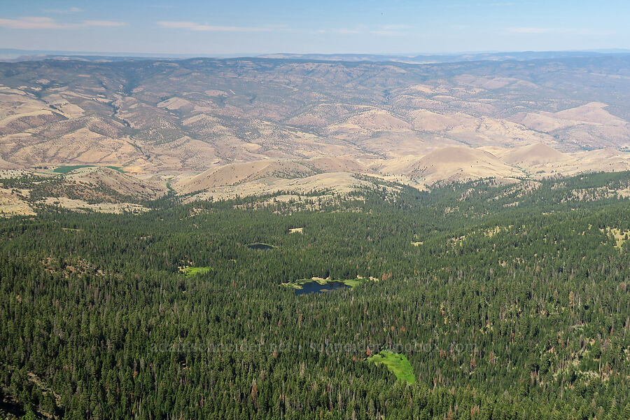 Stewart Lake & Roosevelt Lake [Aldrich Mountain, Malheur National Forest, Grant County, Oregon]