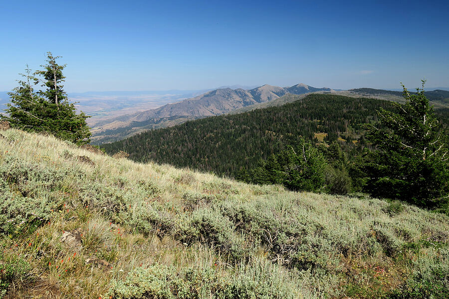 Aldrich Mountains [Aldrich Mountain, Malheur National Forest, Grant County, Oregon]