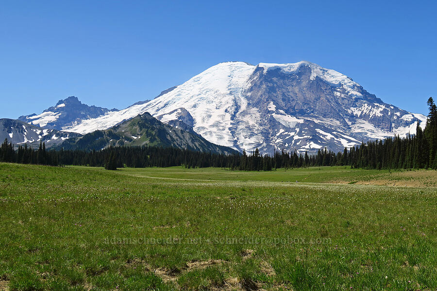 Mount Rainier & Grand Park [Grand Park, Mt. Rainier National Park, Pierce County, Washington]