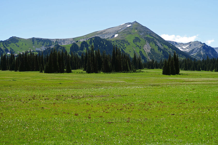 Mount Fremont & Grand Park [Grand Park, Mt. Rainier National Park, Pierce County, Washington]