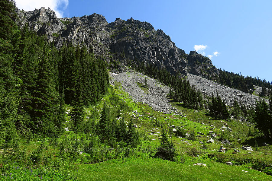 cliffs above Berkeley Park [Berkeley Park, Mt. Rainier National Park, Pierce County, Washington]