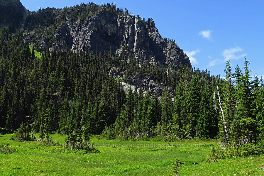 Skyscraper Mountain [Berkeley Park, Mt. Rainier National Park, Pierce County, Washington]