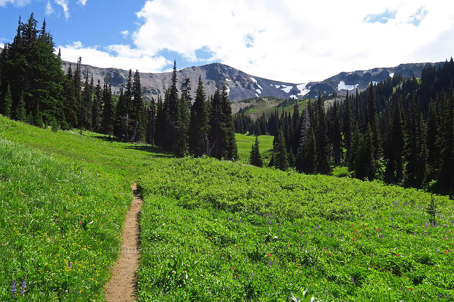 2nd Burroughs Mountain [Berkeley Park, Mt. Rainier National Park, Pierce County, Washington]