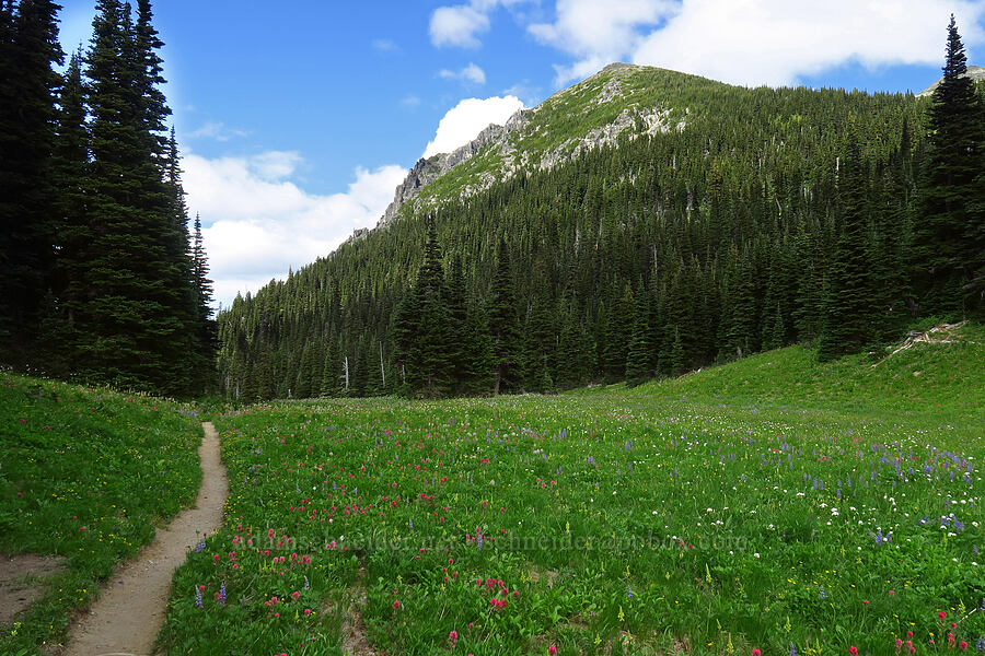 Berkeley Park & Mt. Fremont [Berkeley Park, Mt. Rainier National Park, Pierce County, Washington]