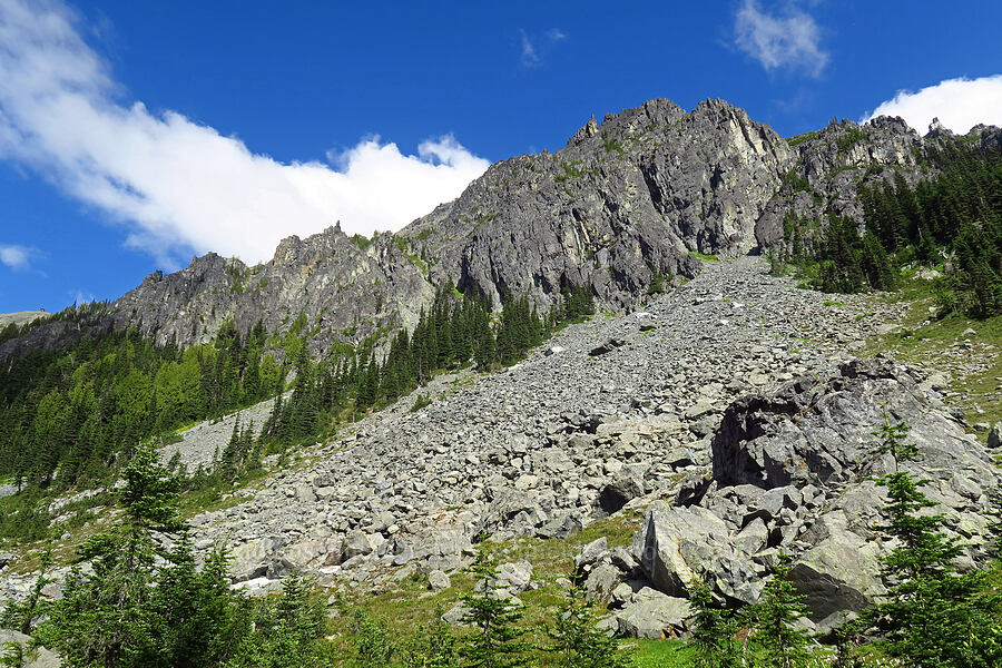 cliffs above Berkeley Park [Berkeley Park, Mt. Rainier National Park, Pierce County, Washington]