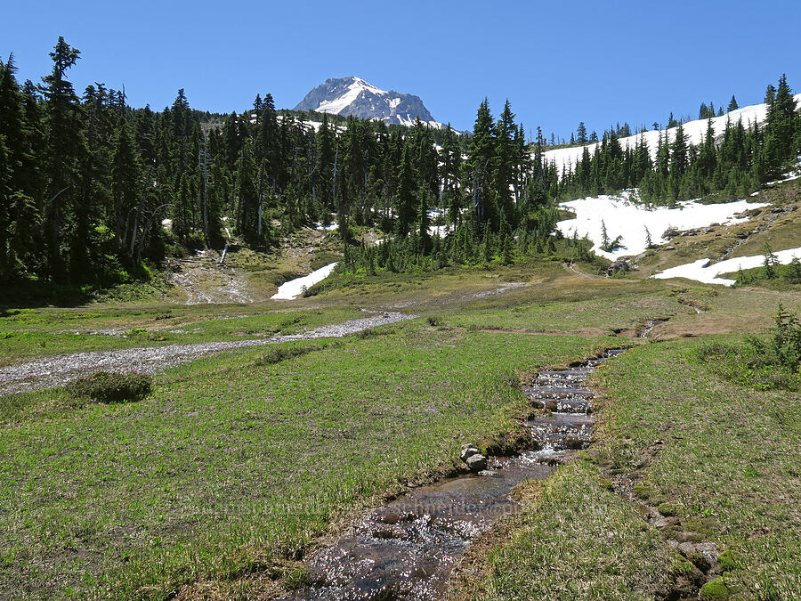 Wy'east Basin [Wy'east Basin, Mt. Hood Wilderness, Hood River County, Oregon]