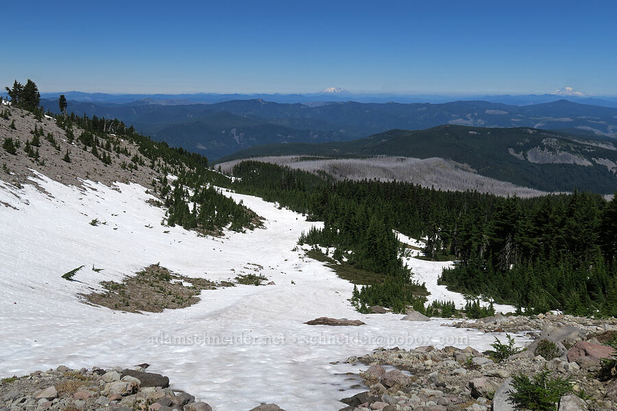 snowfields & volcanoes [above Wy'East Basin, Mt. Hood Wilderness, Hood River County, Oregon]