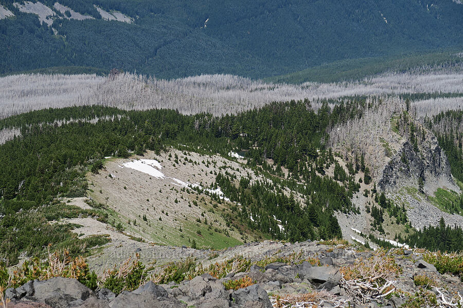 Dollar Lake & the west edge of Elk Cove [Barrett Spur, Mt. Hood Wilderness, Hood River County, Oregon]