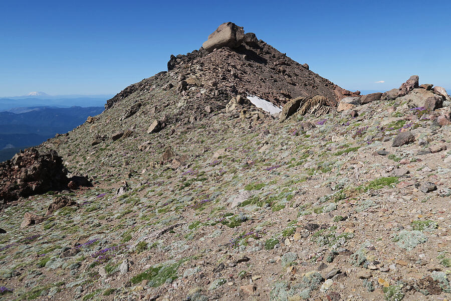 south side of Barrett Spur [Barrett Spur, Mt. Hood Wilderness, Hood River County, Oregon]