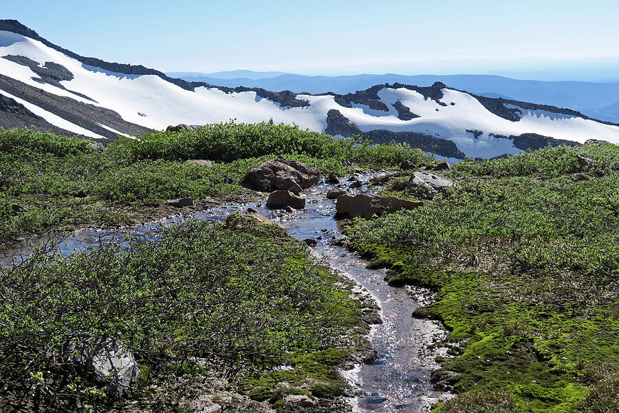 spring below Barrett Spur [Barrett Spur, Mt. Hood Wilderness, Hood River County, Oregon]