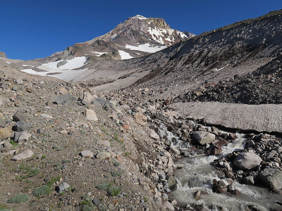 upper reaches of Ladd Creek [above Cairn Basin, Mt. Hood Wilderness, Hood River County, Oregon]