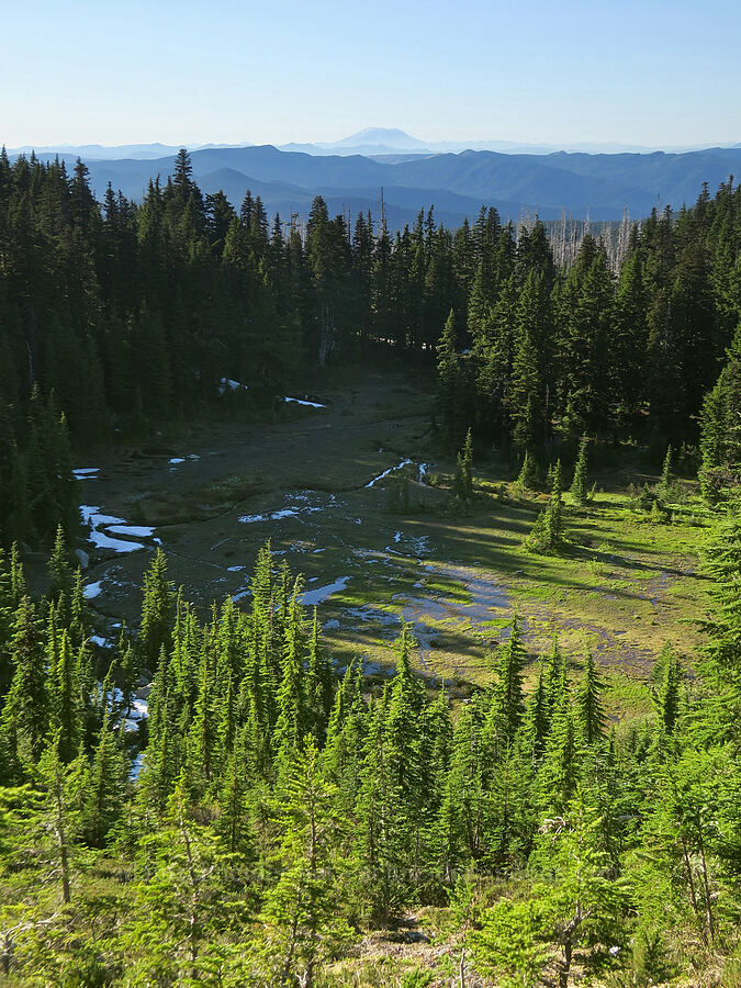 Eden Park [Eden Park Trail, Mt. Hood Wilderness, Hood River County, Oregon]
