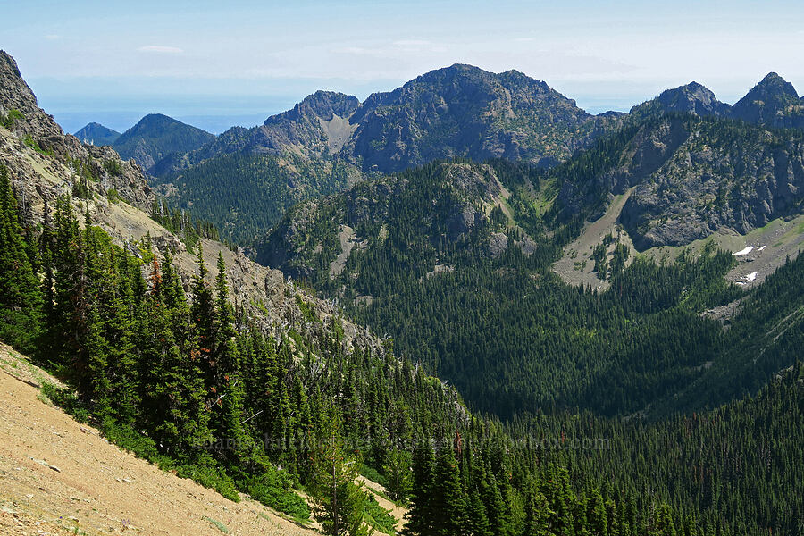 Upper Big Quilcene Valley [Buckhorn Mountain Trail, Buckhorn Wilderness, Jefferson County, Washington]