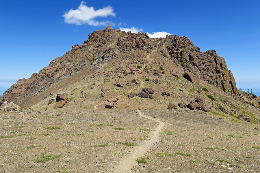Buckhorn Mountain's summit [Buckhorn Mountain Trail, Buckhorn Wilderness, Jefferson County, Washington]