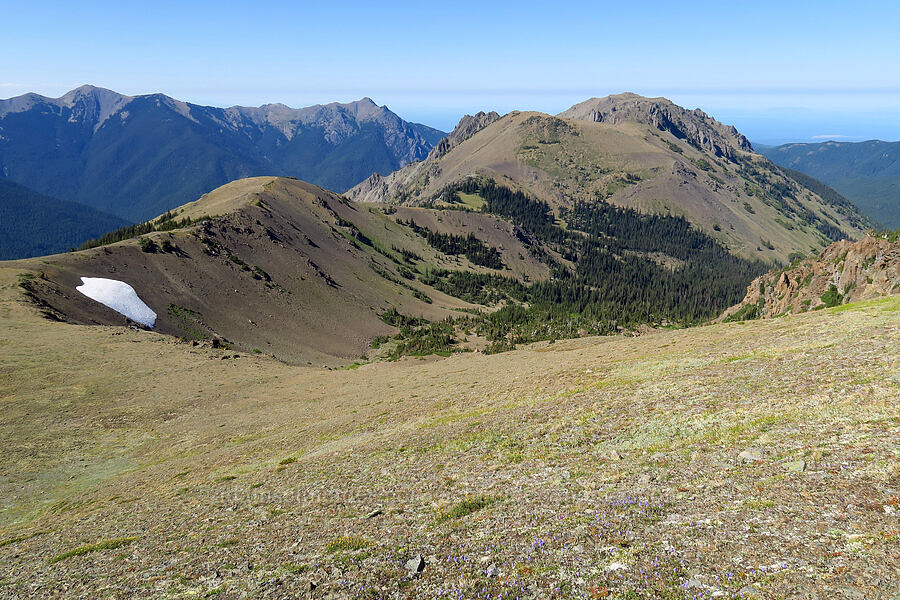 Copper Creek Peak [below Buckhorn Mountain, Buckhorn Wilderness, Jefferson County, Washington]