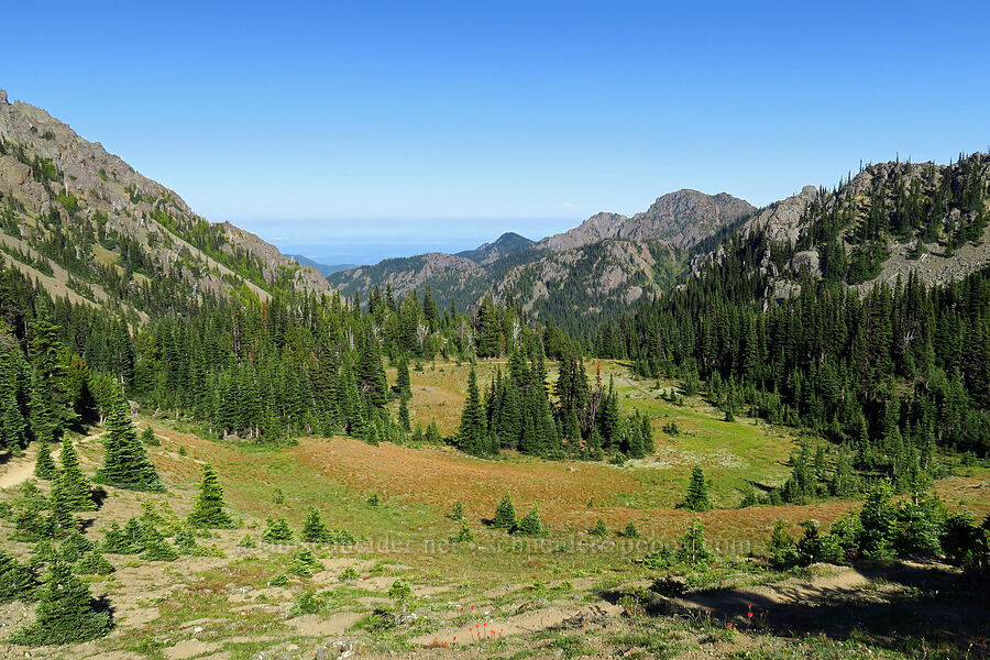 meadows below Marmot Pass [Marmot Pass, Buckhorn Wilderness, Jefferson County, Washington]
