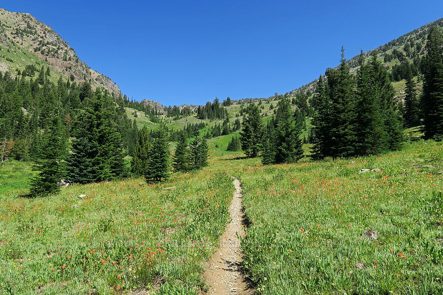 Twin Lakes Basin [Twin Lakes Trail, Wallowa-Whitman National Forest, Baker County, Oregon]