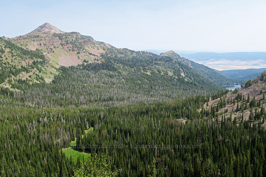 Strawberry Mountain & Strawberry Basin [above the Road's End Trail, Strawberry Mountain Wilderness, Grant County, Oregon]